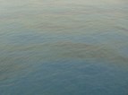 Update On SNEPCo Response To Bonga Oil Leak: Up To 50% Of Oil Dissipated. Bonga Facility Now Shut In